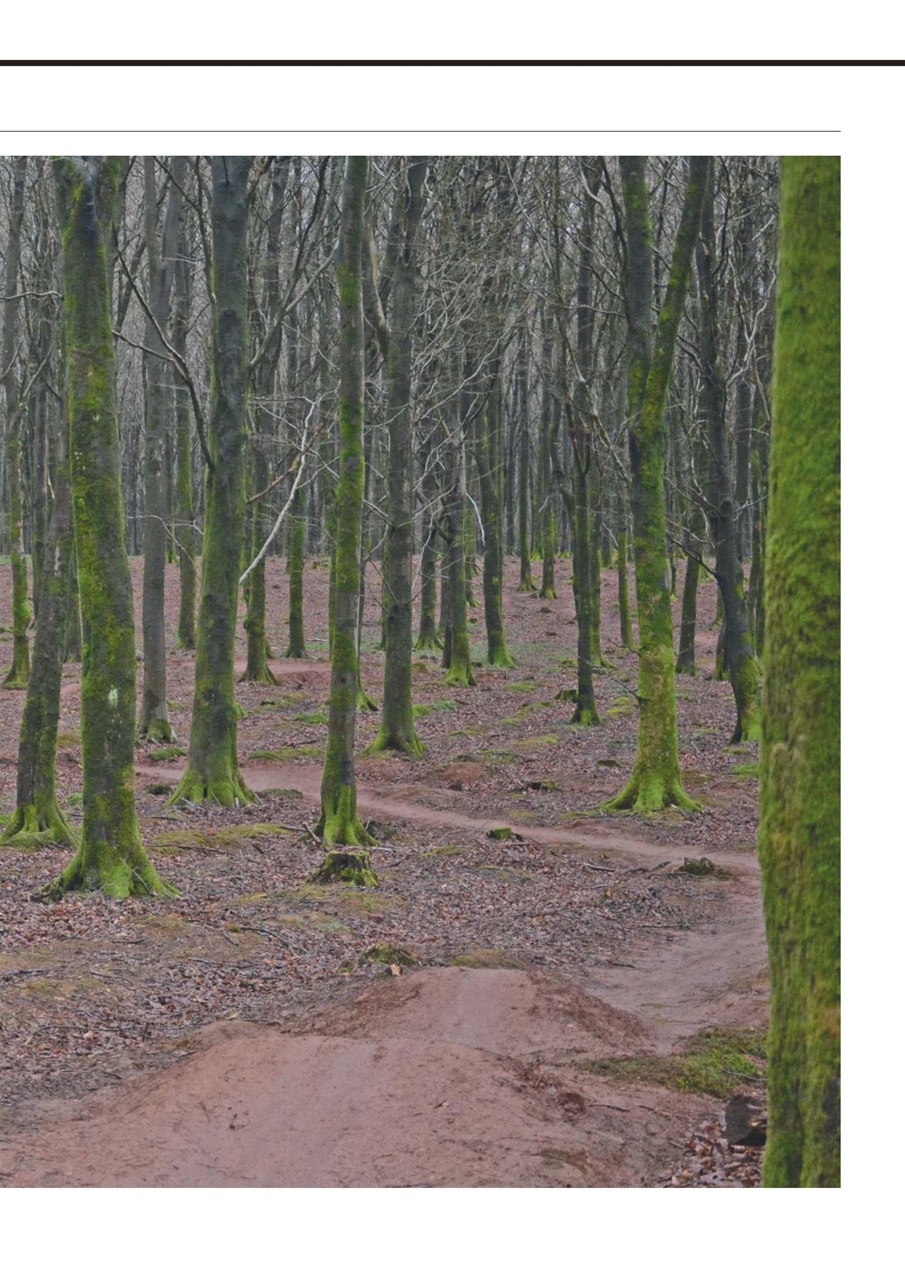 Outdoor Fitness & Adventure Preview Pages