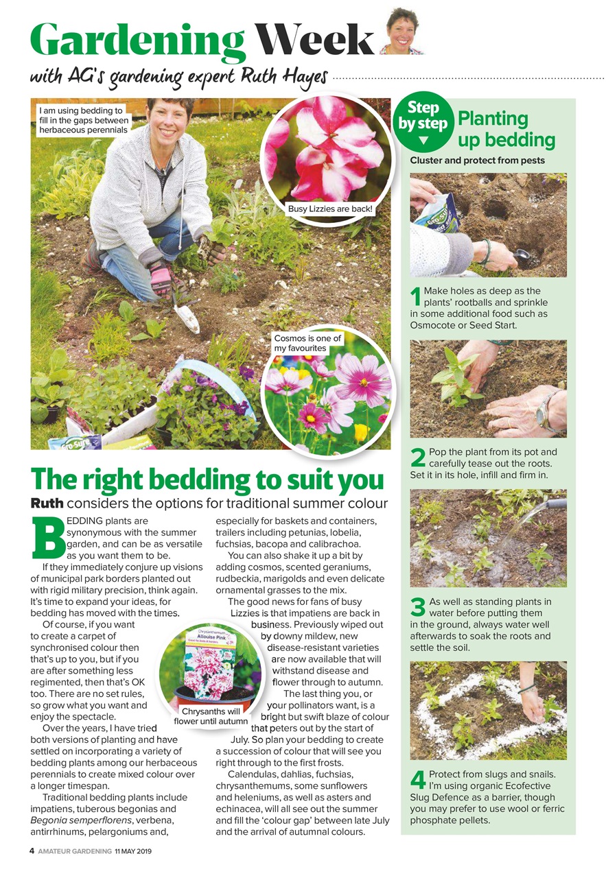 Amateur Gardening Preview Pages