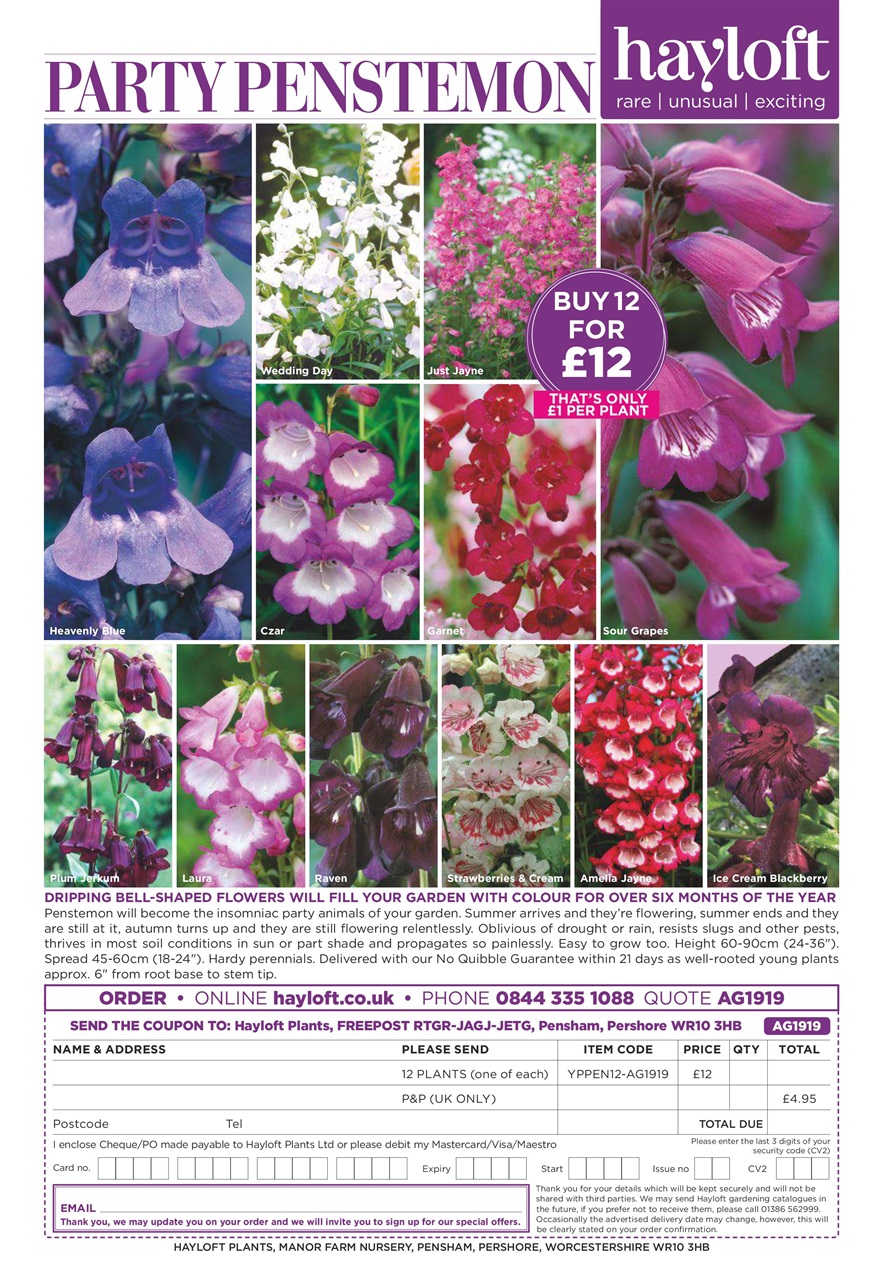 Amateur Gardening Preview Pages