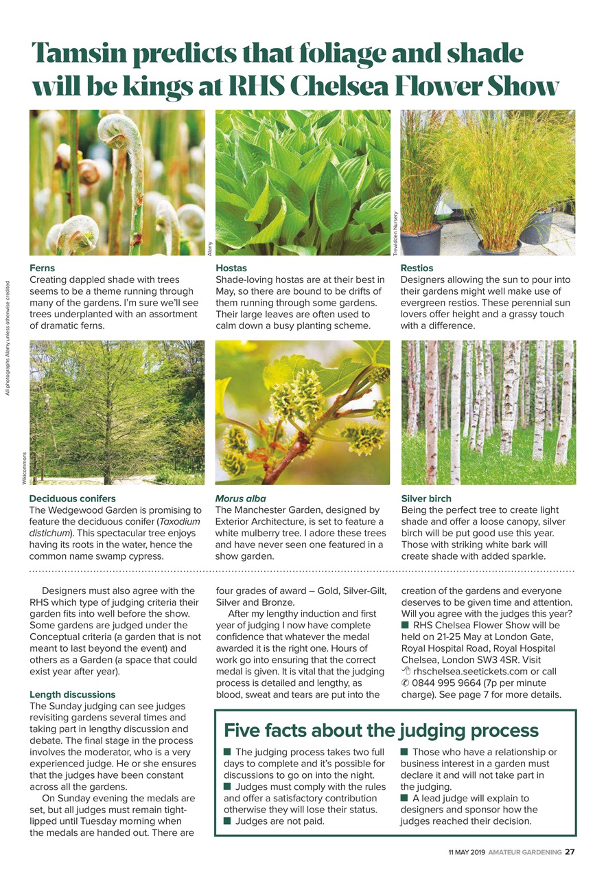 Amateur Gardening Preview Pages