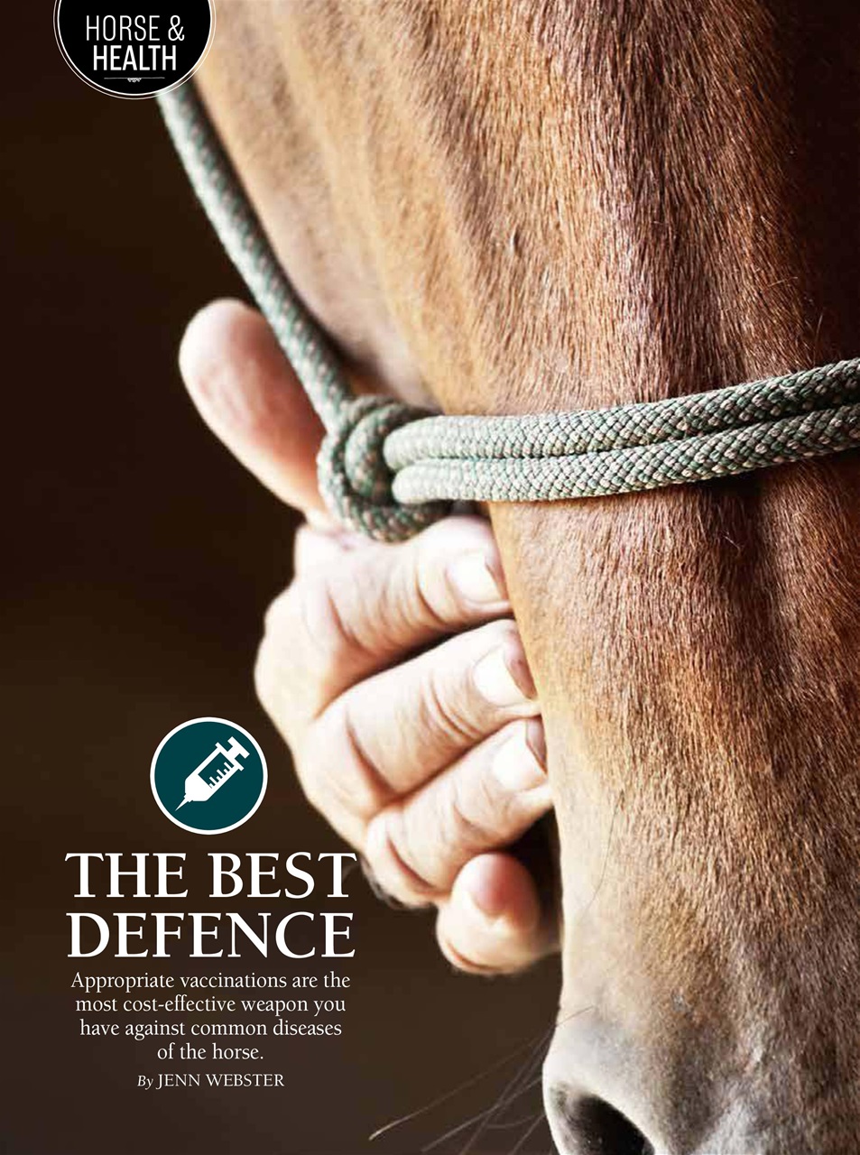 Western Horse Review Preview Pages