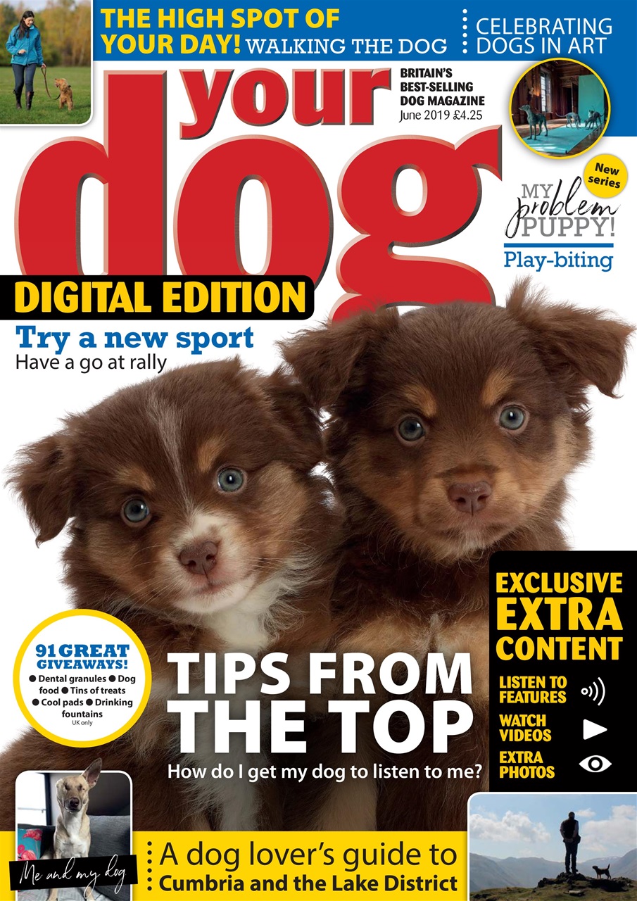 Your Dog Preview Pages