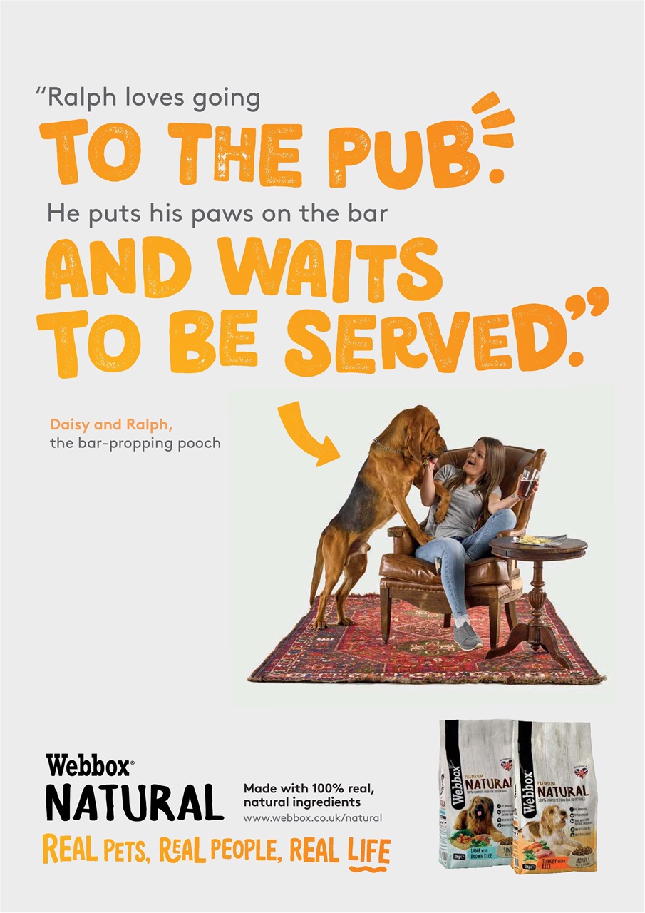 Your Dog Preview Pages