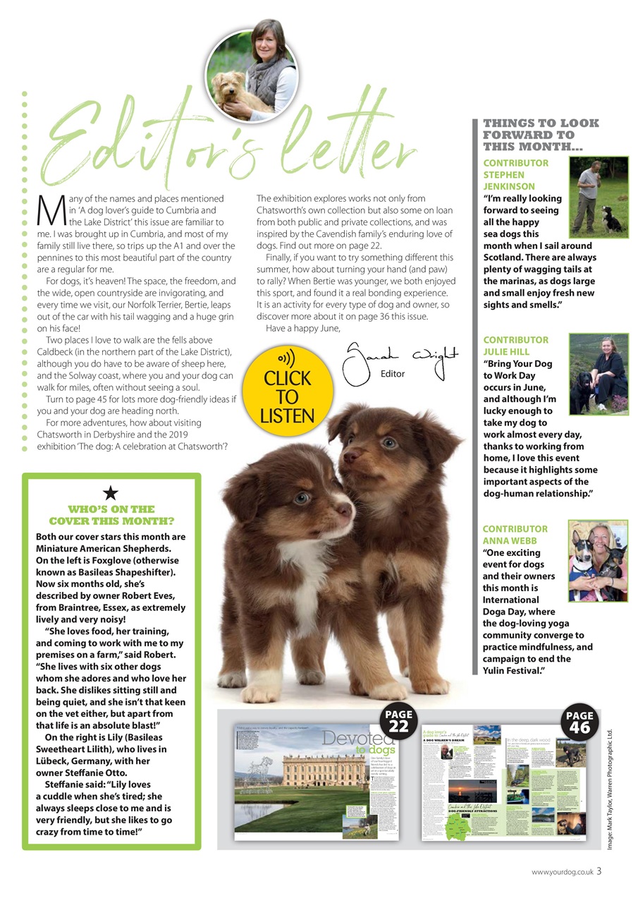 Your Dog Preview Pages