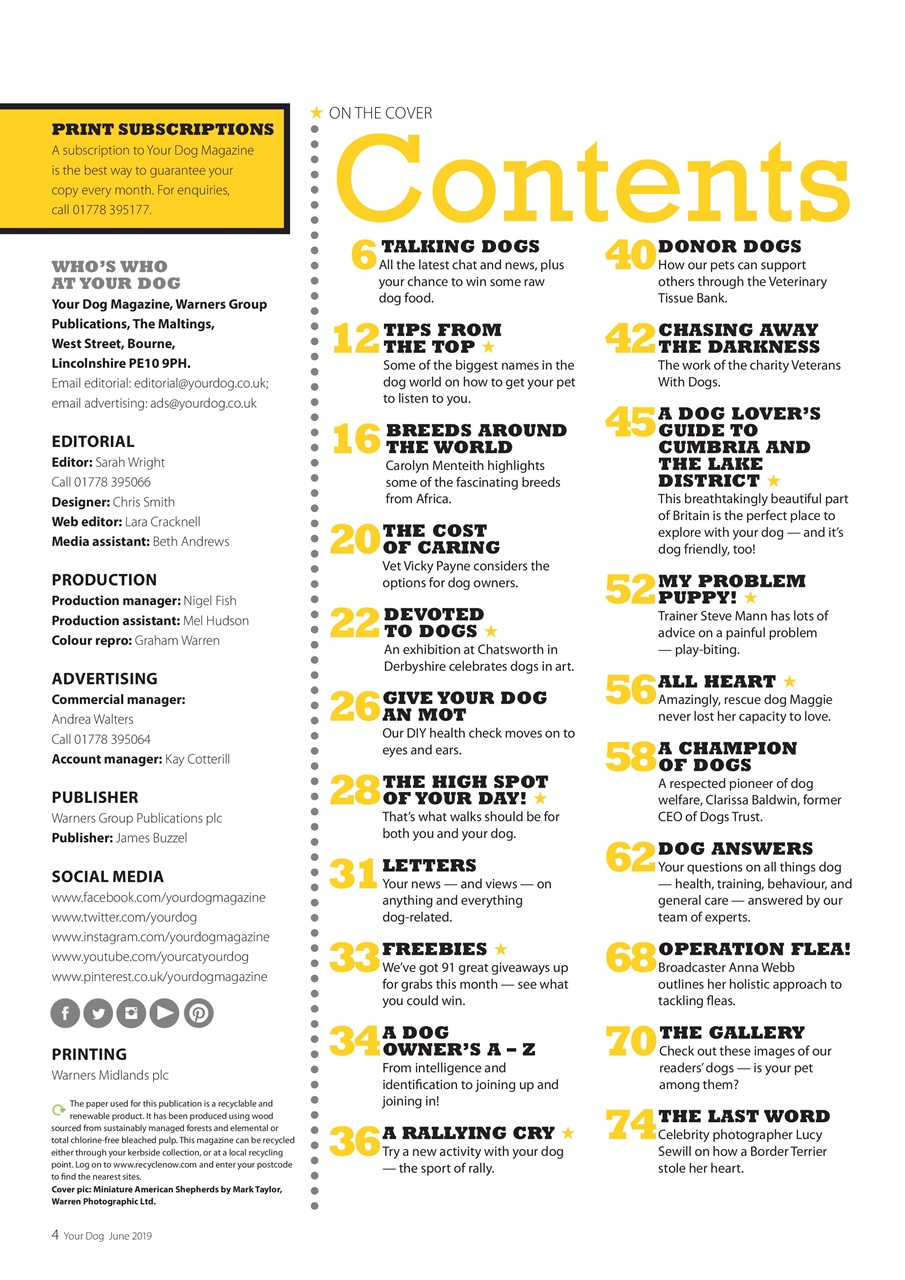 Your Dog Preview Pages