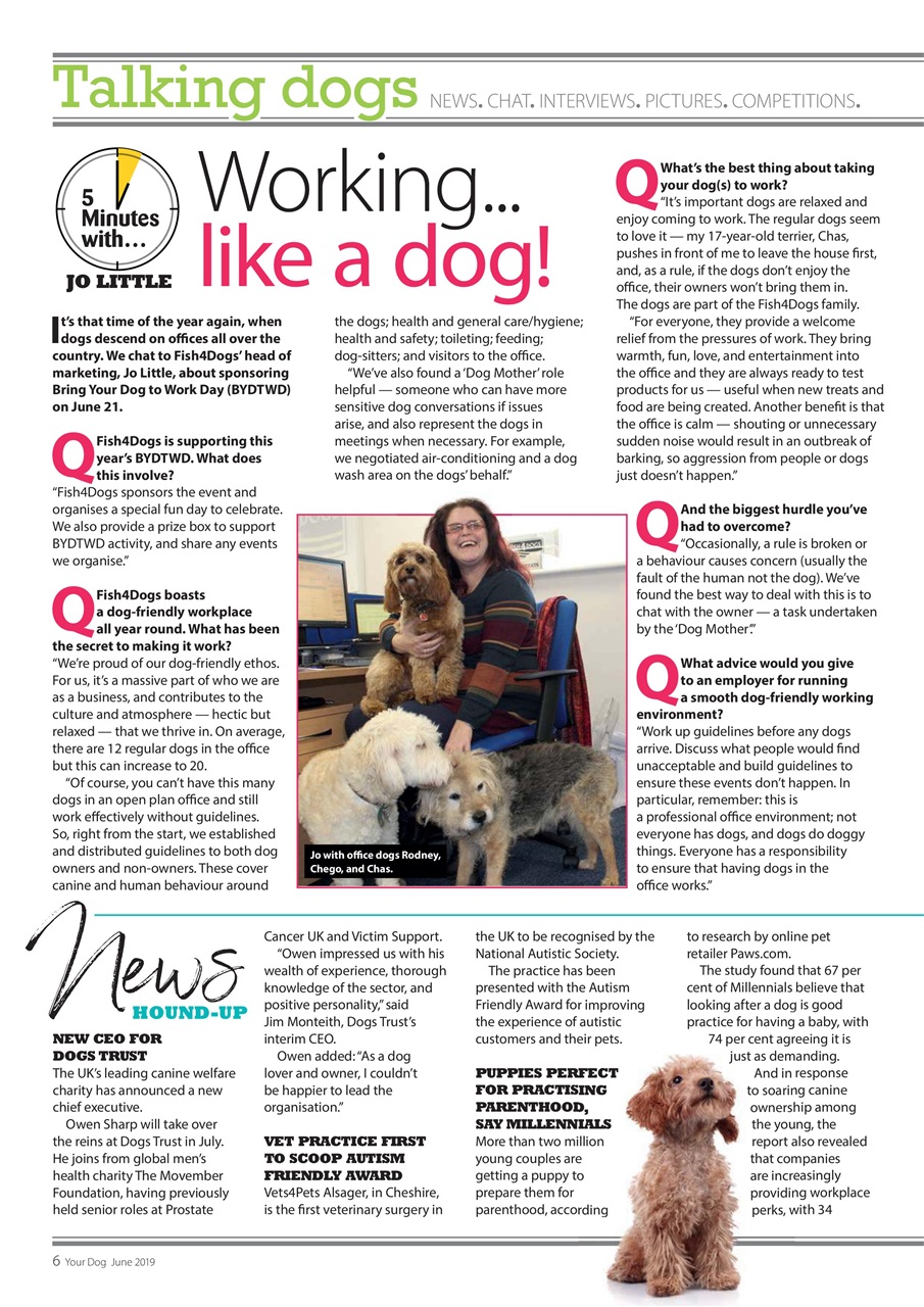 Your Dog Preview Pages