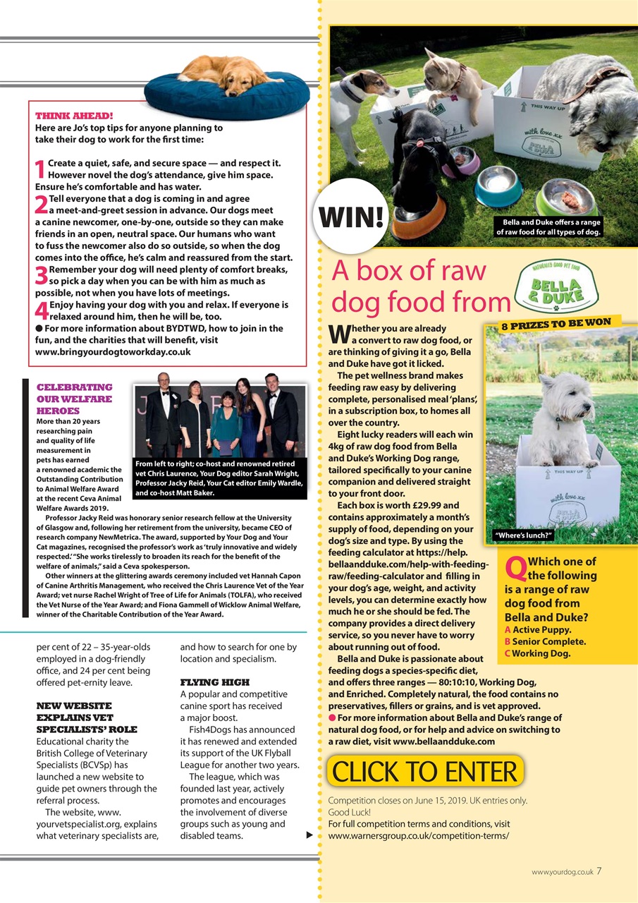 Your Dog Preview Pages