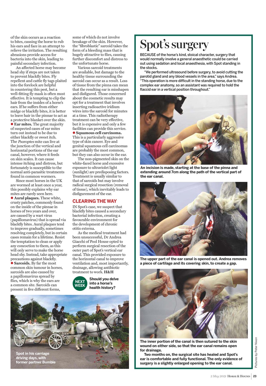 Horse & Hound Preview Pages