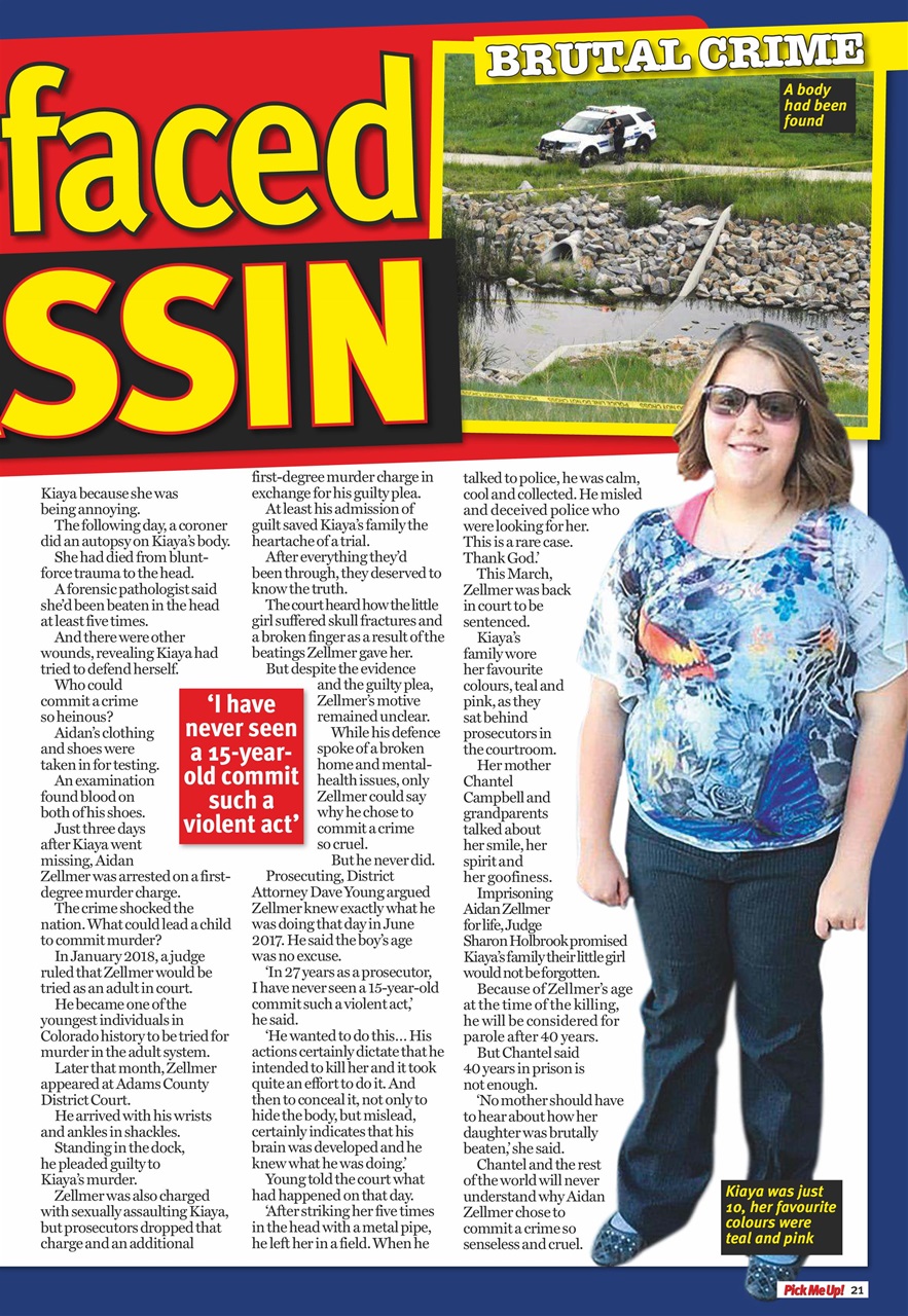 Pick Me Up Preview Pages