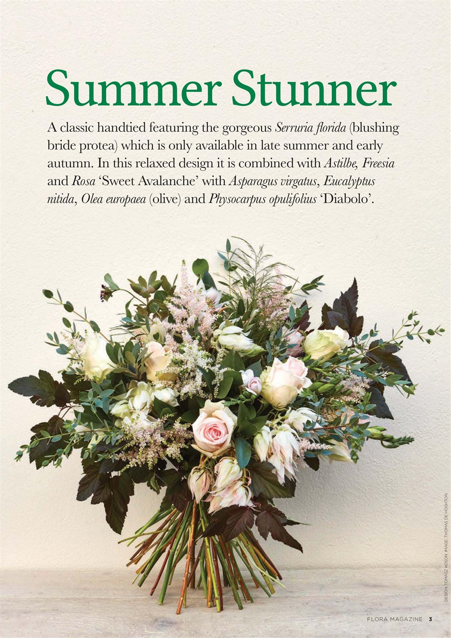 Flora International Preview Pages
