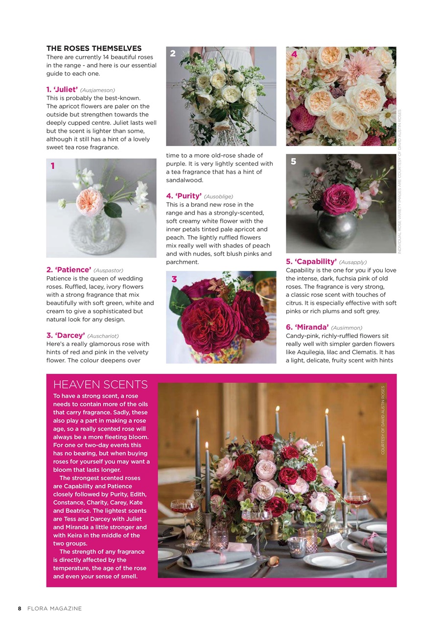 Flora International Preview Pages