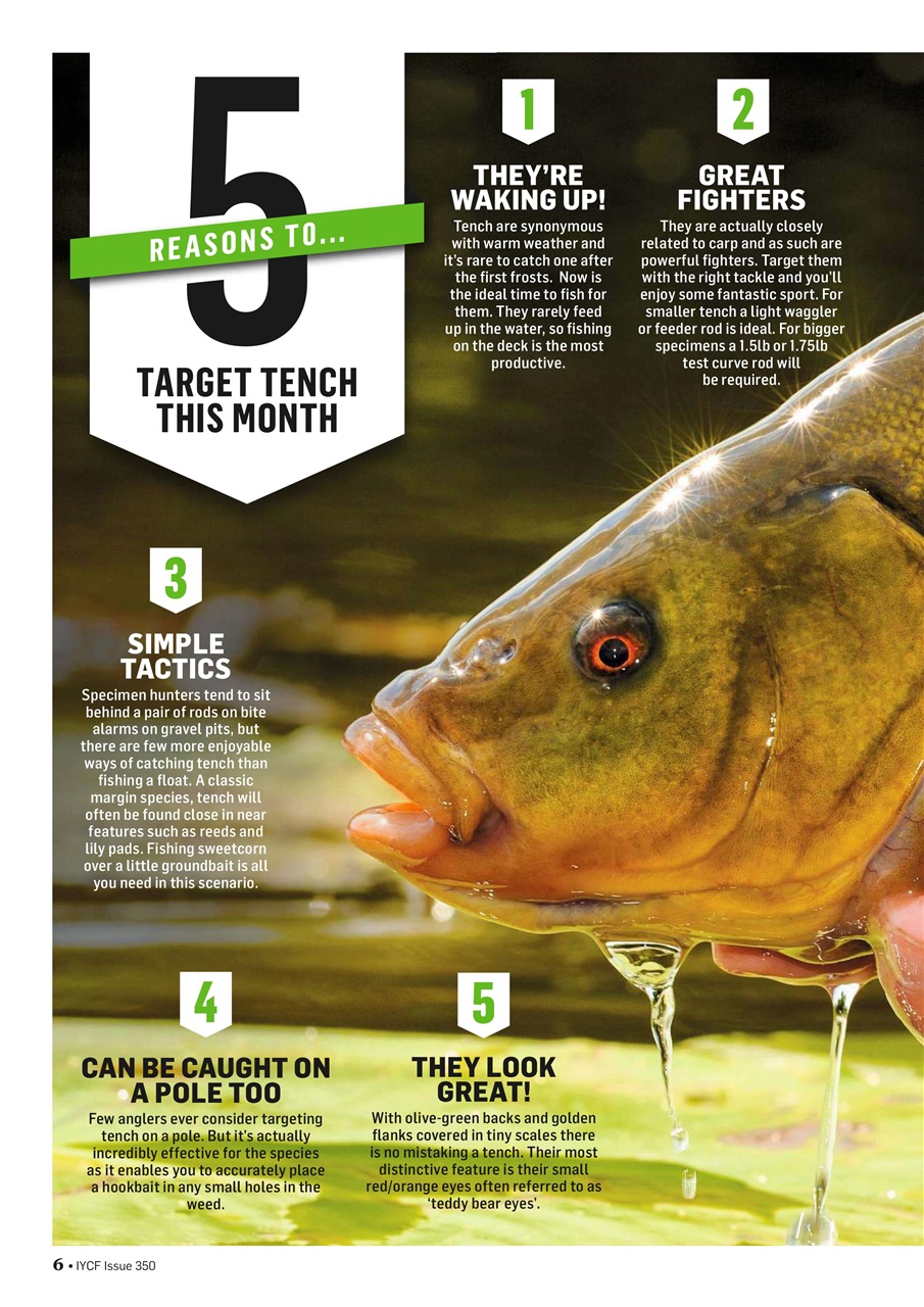 Improve Your Coarse Fishing Preview Pages