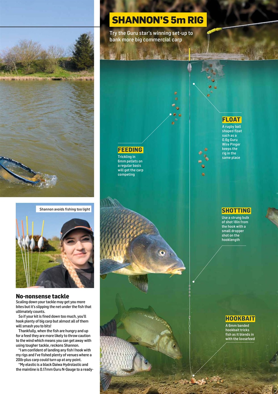 Improve Your Coarse Fishing Preview Pages