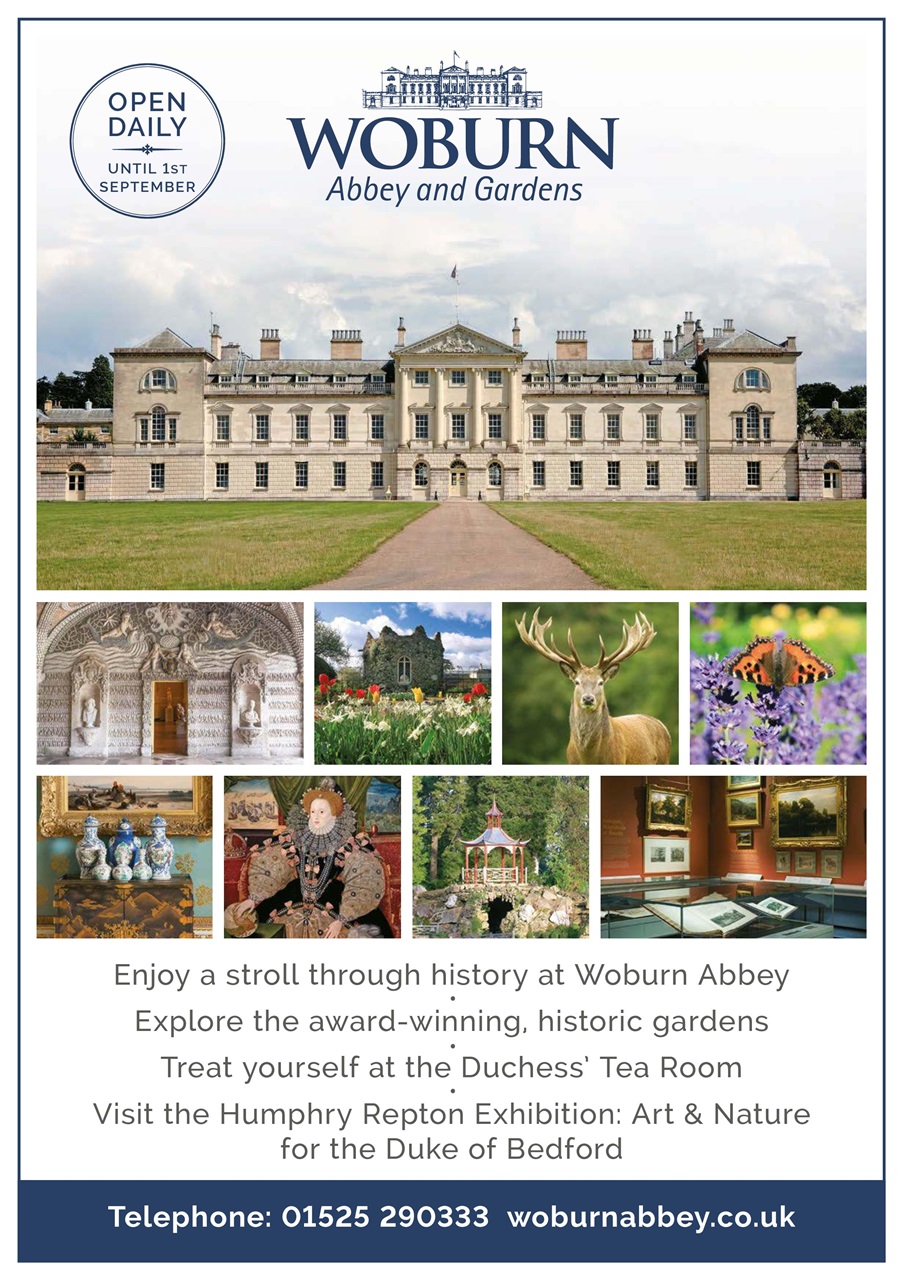 The Lady Preview Pages