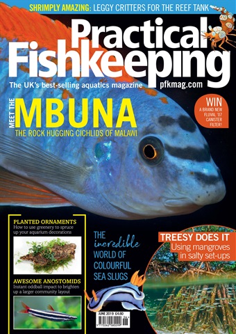 Practical Fishkeeping issue Practical Fishkeeping June 2019