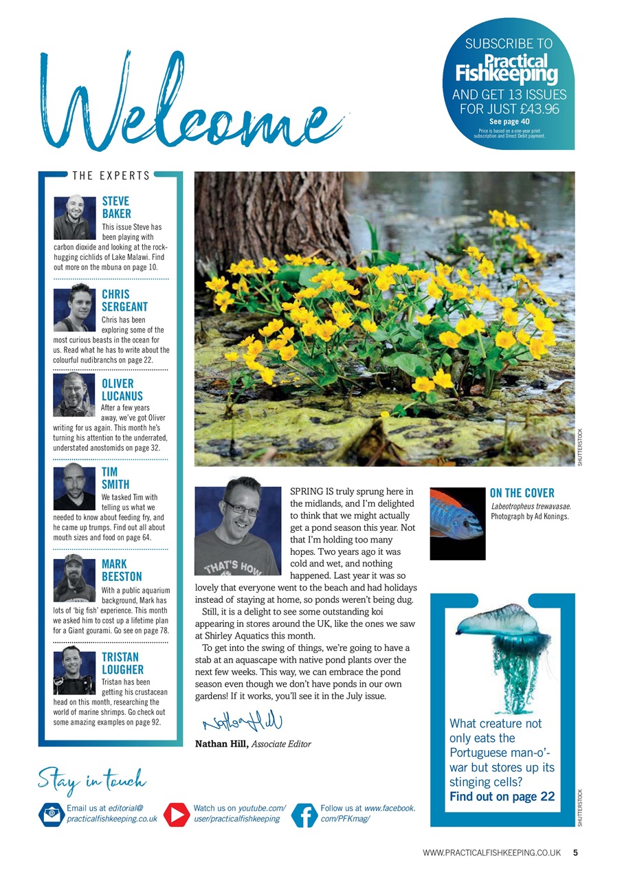 Practical Fishkeeping Preview Pages