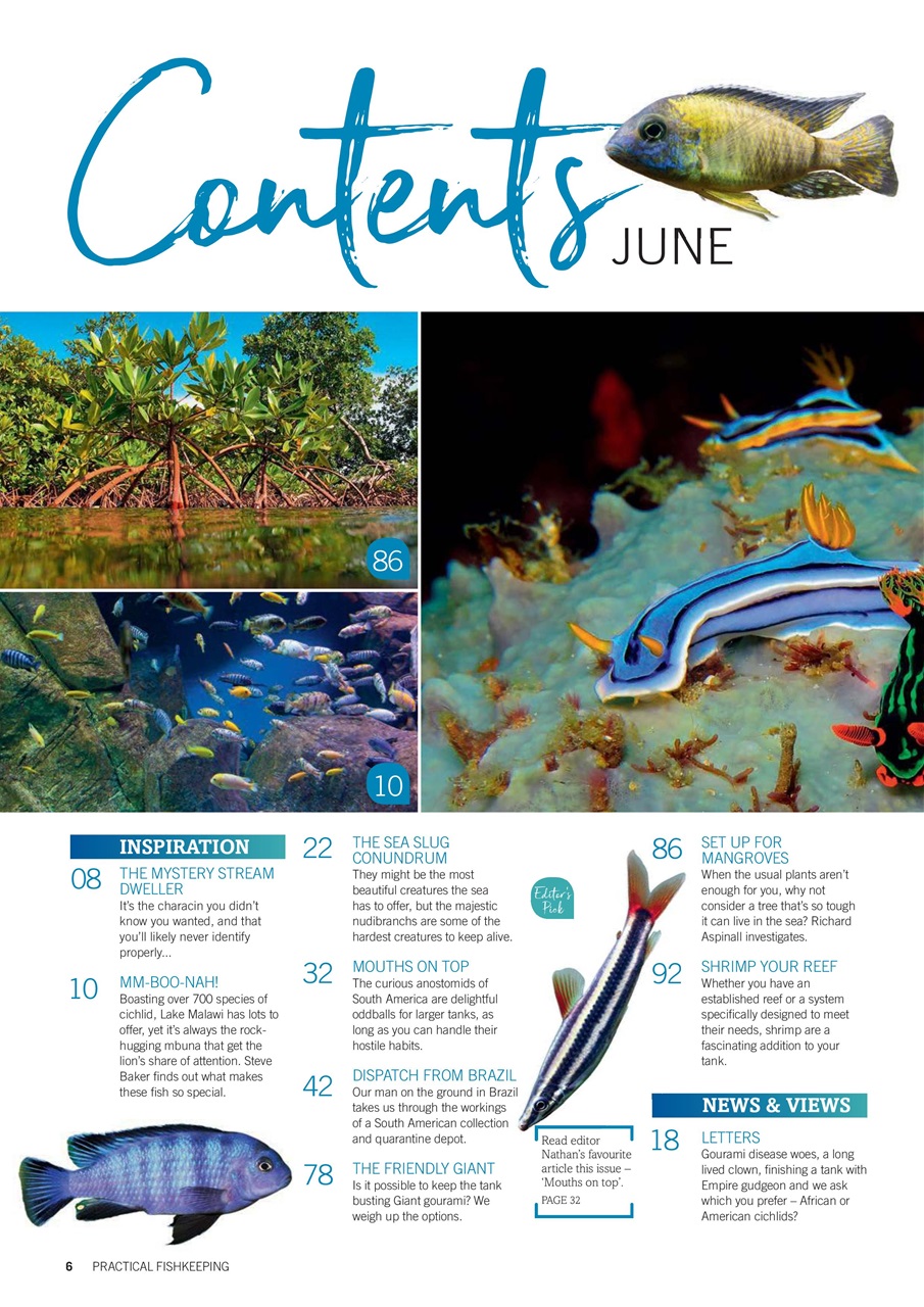 Practical Fishkeeping Preview Pages