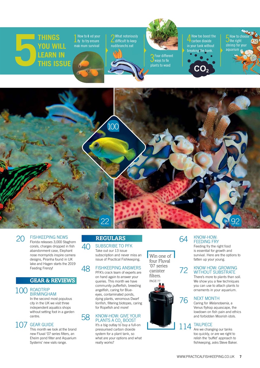 Practical Fishkeeping Preview Pages
