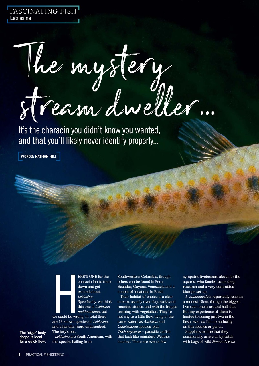 Practical Fishkeeping Preview Pages