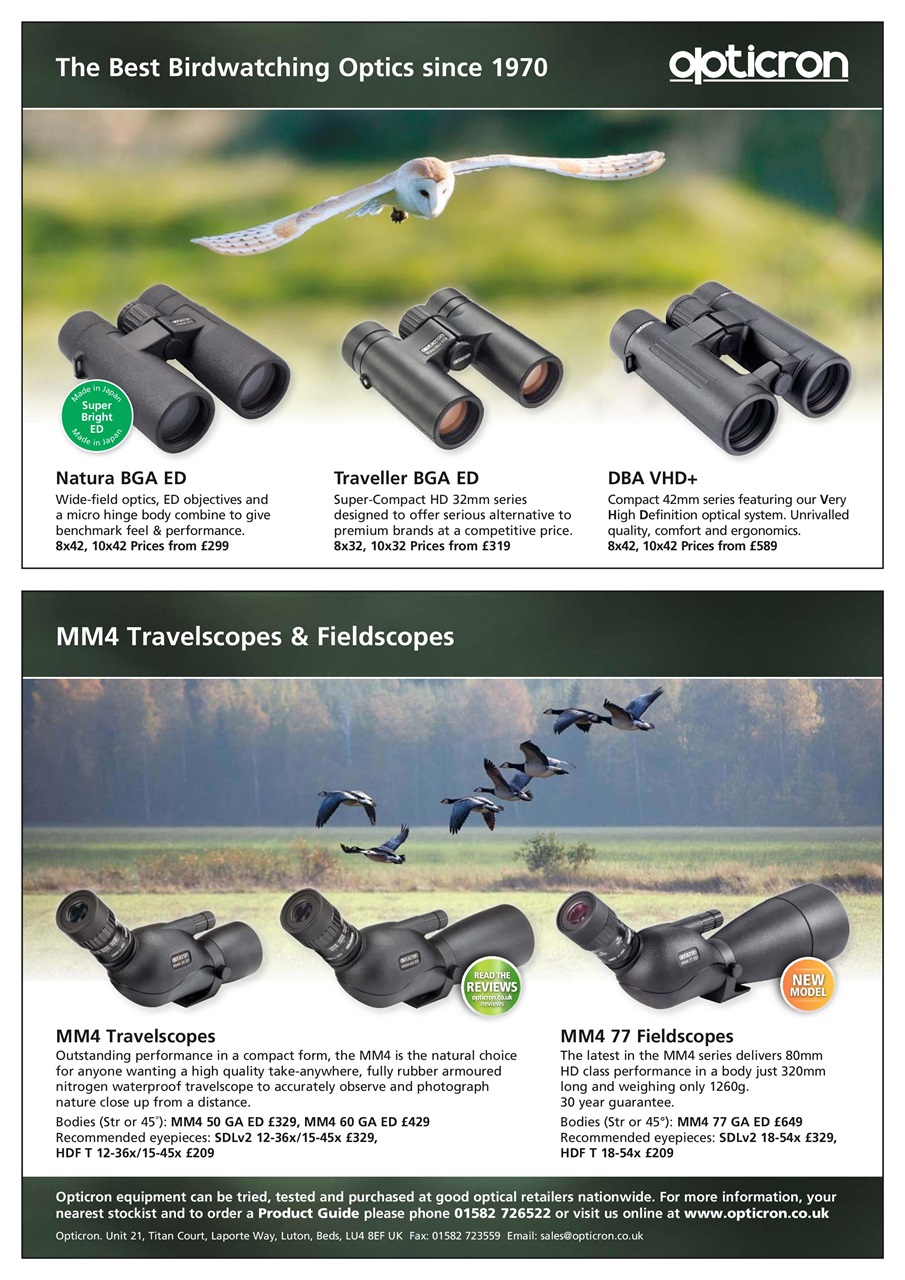 Bird Watching Preview Pages