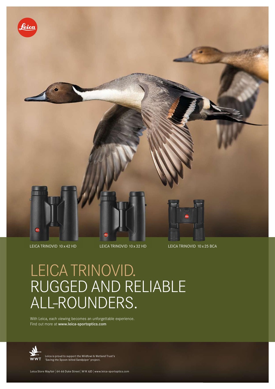 Bird Watching Preview Pages