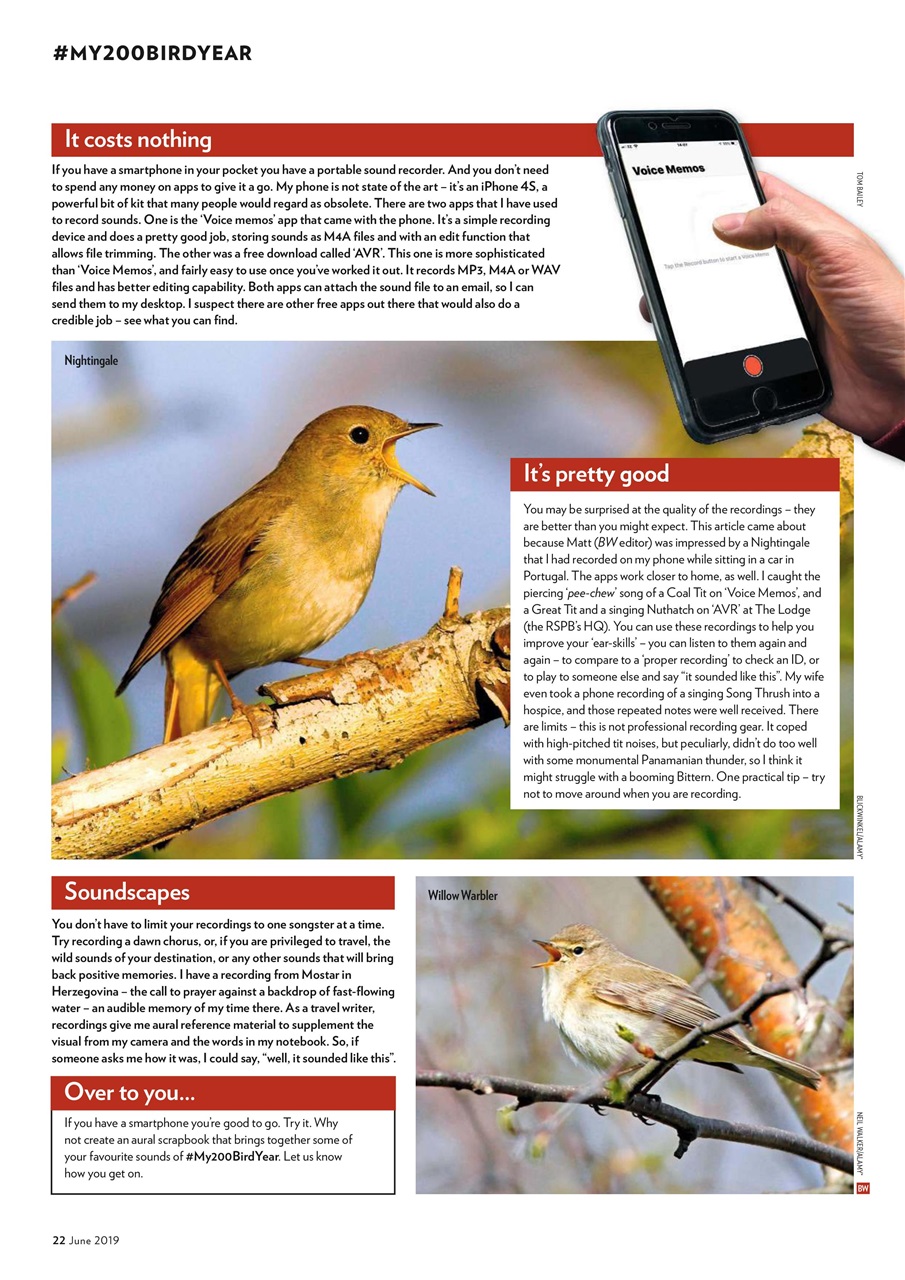 Bird Watching Preview Pages