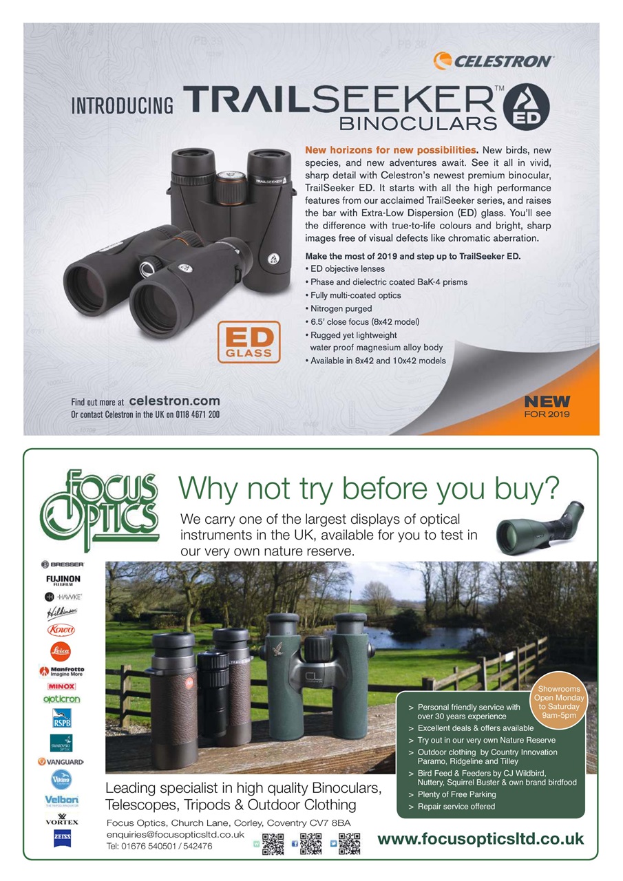 Bird Watching Preview Pages