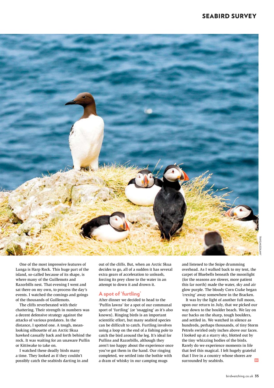 Bird Watching Preview Pages