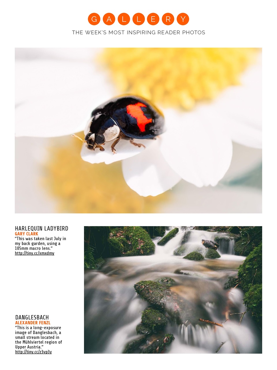 Photography Week Preview Pages