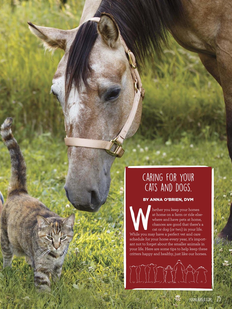 Young Rider Magazine Preview Pages