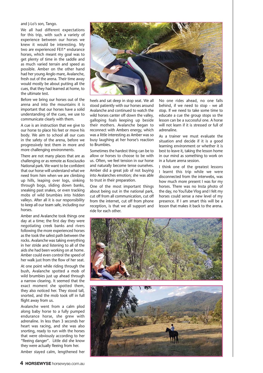 HorseWyse Magazine Preview Pages