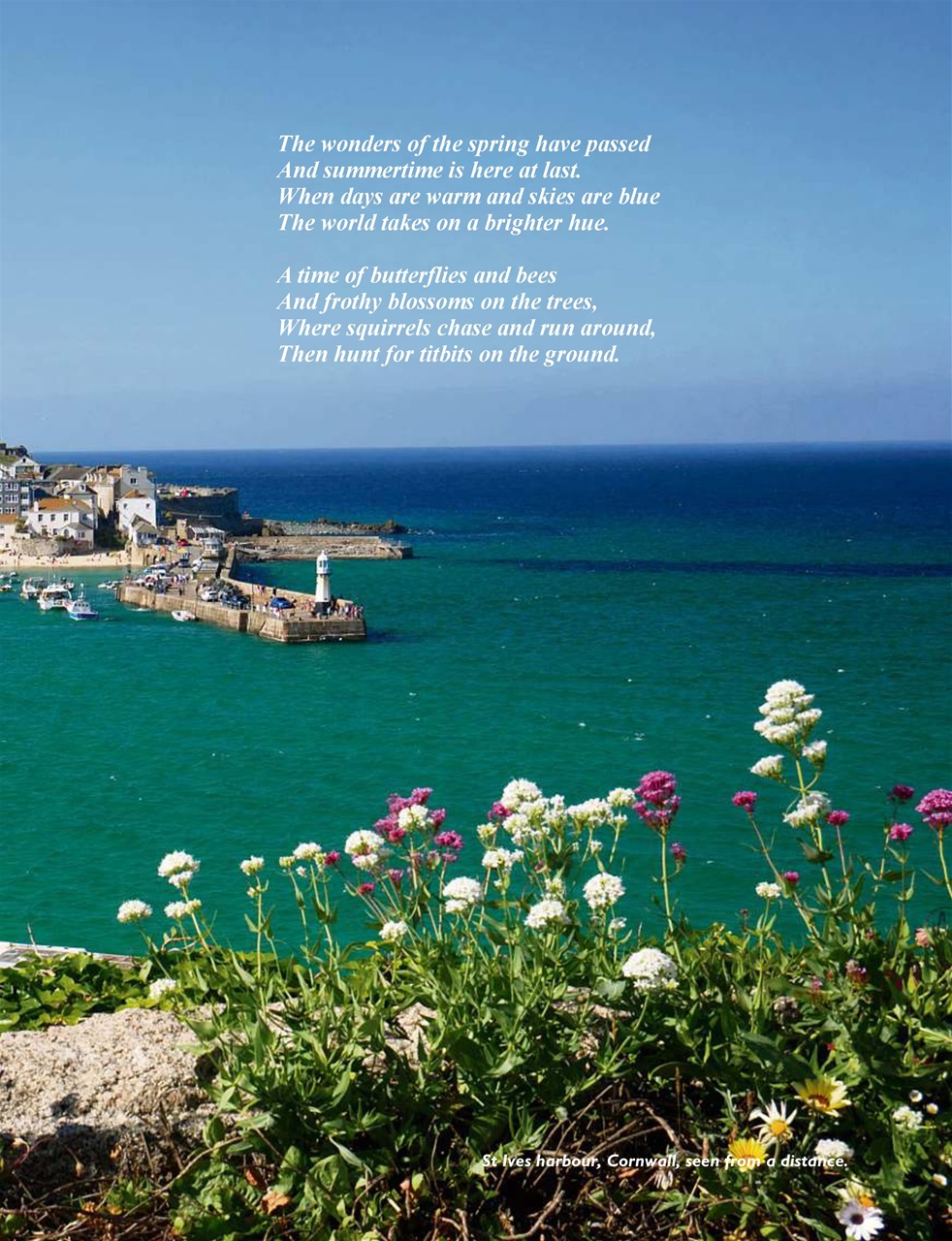 This England Preview Pages