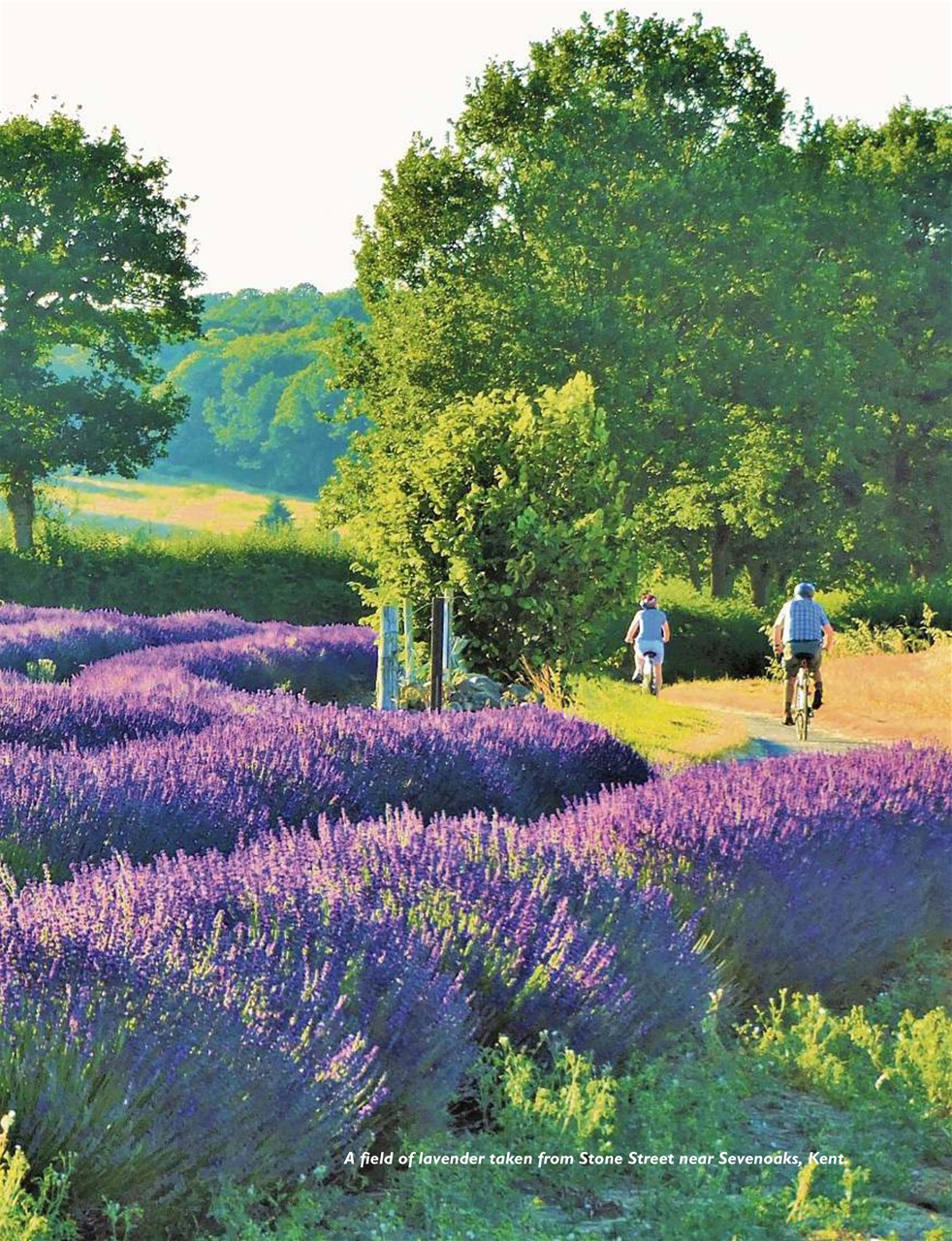 This England Preview Pages