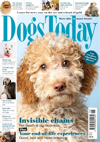 Dogs Today Magazine issue June 2019
