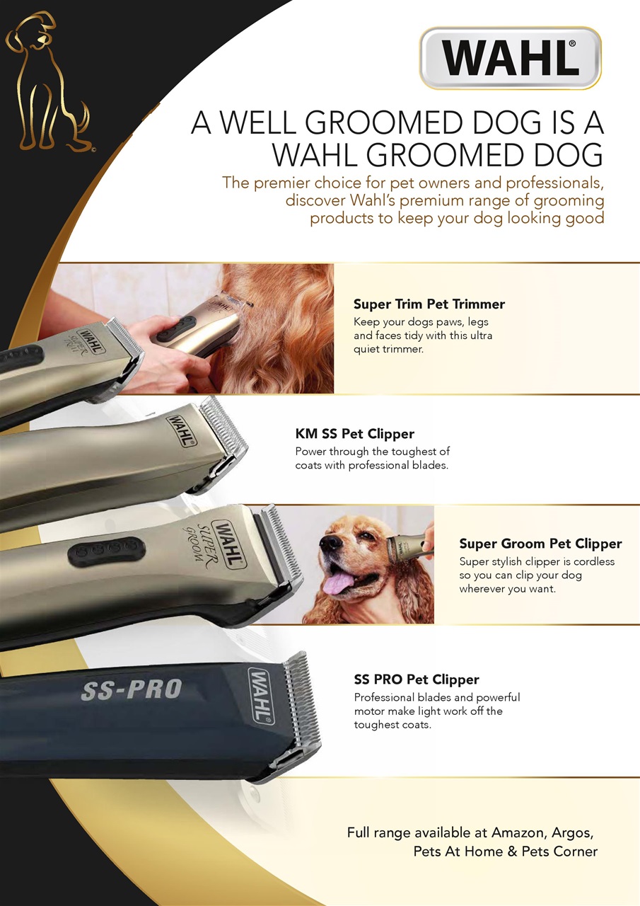 Dogs Today Magazine Preview Pages