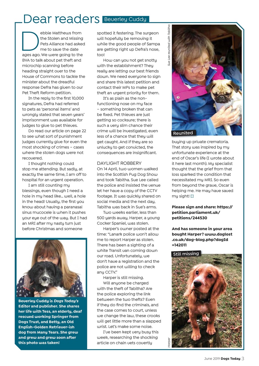 Dogs Today Magazine Preview Pages