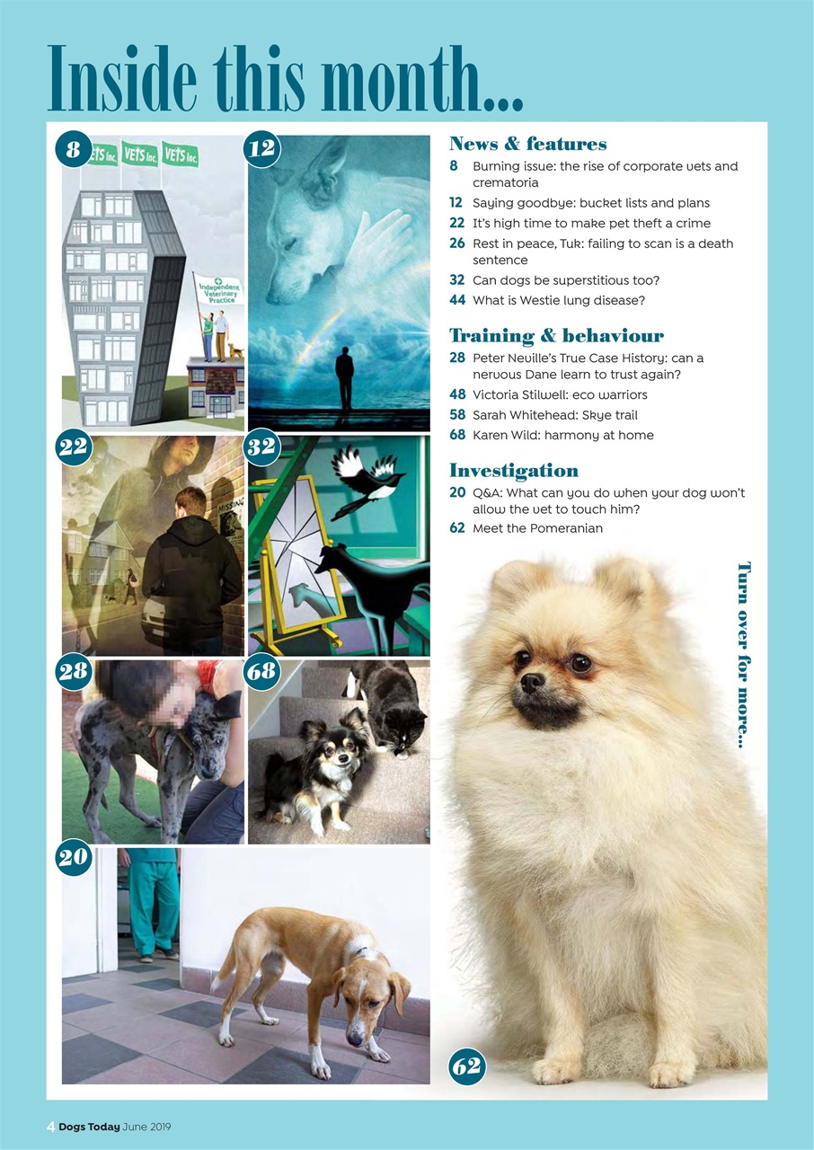 Dogs Today Magazine Preview Pages