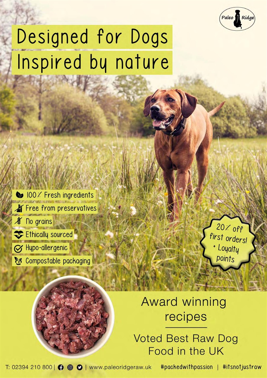 Dogs Today Magazine Preview Pages