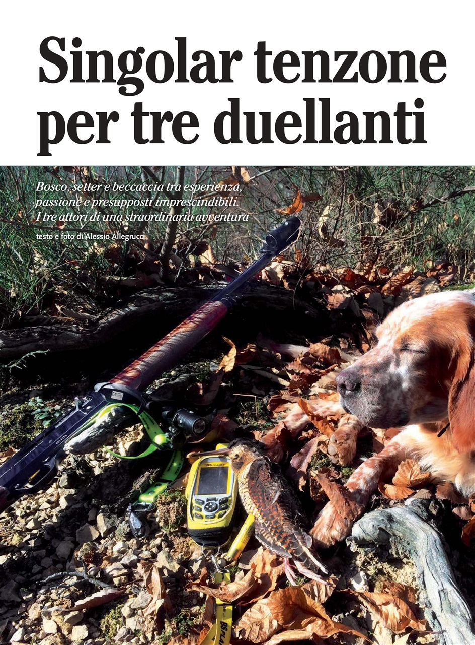 BECCACCE CHE PASSIONE Preview Pages