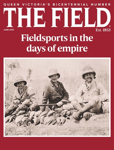 The Field issue June 2019