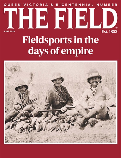 The Field issue 