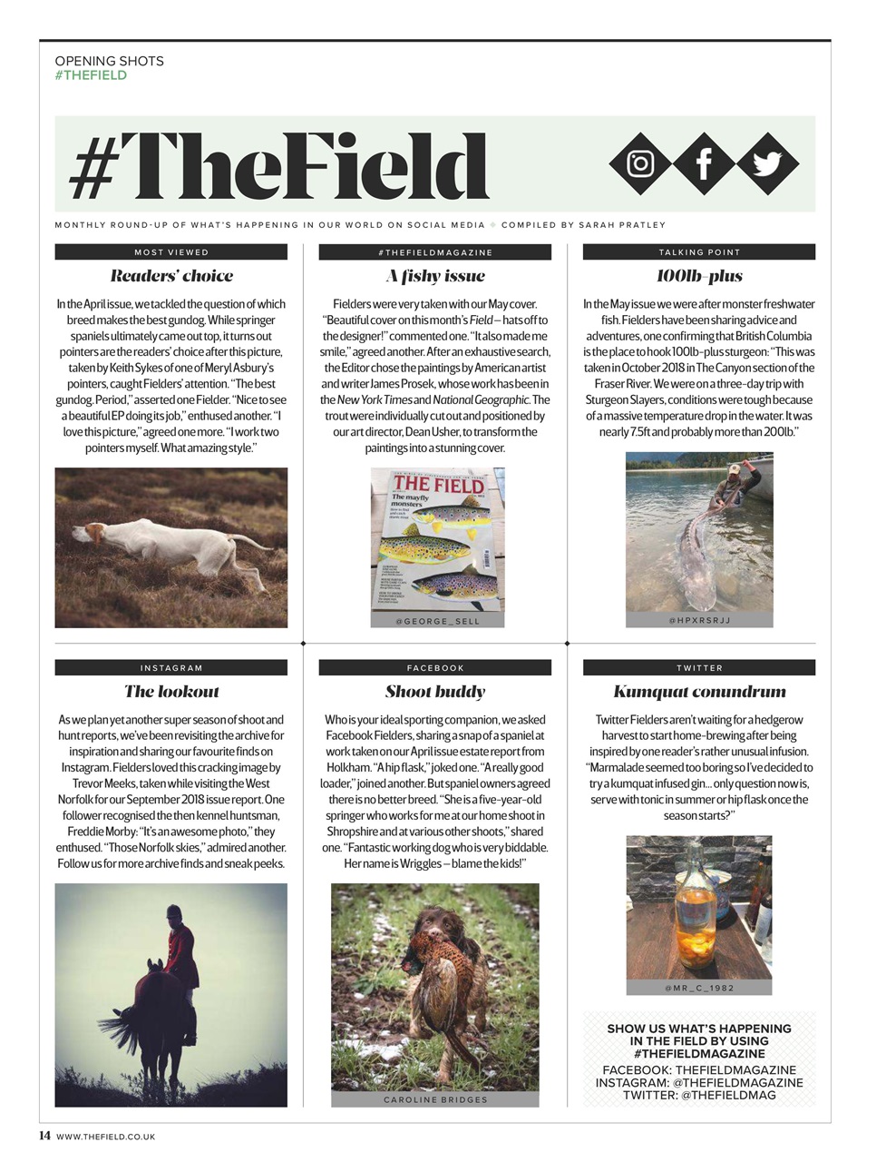 The Field Preview Pages