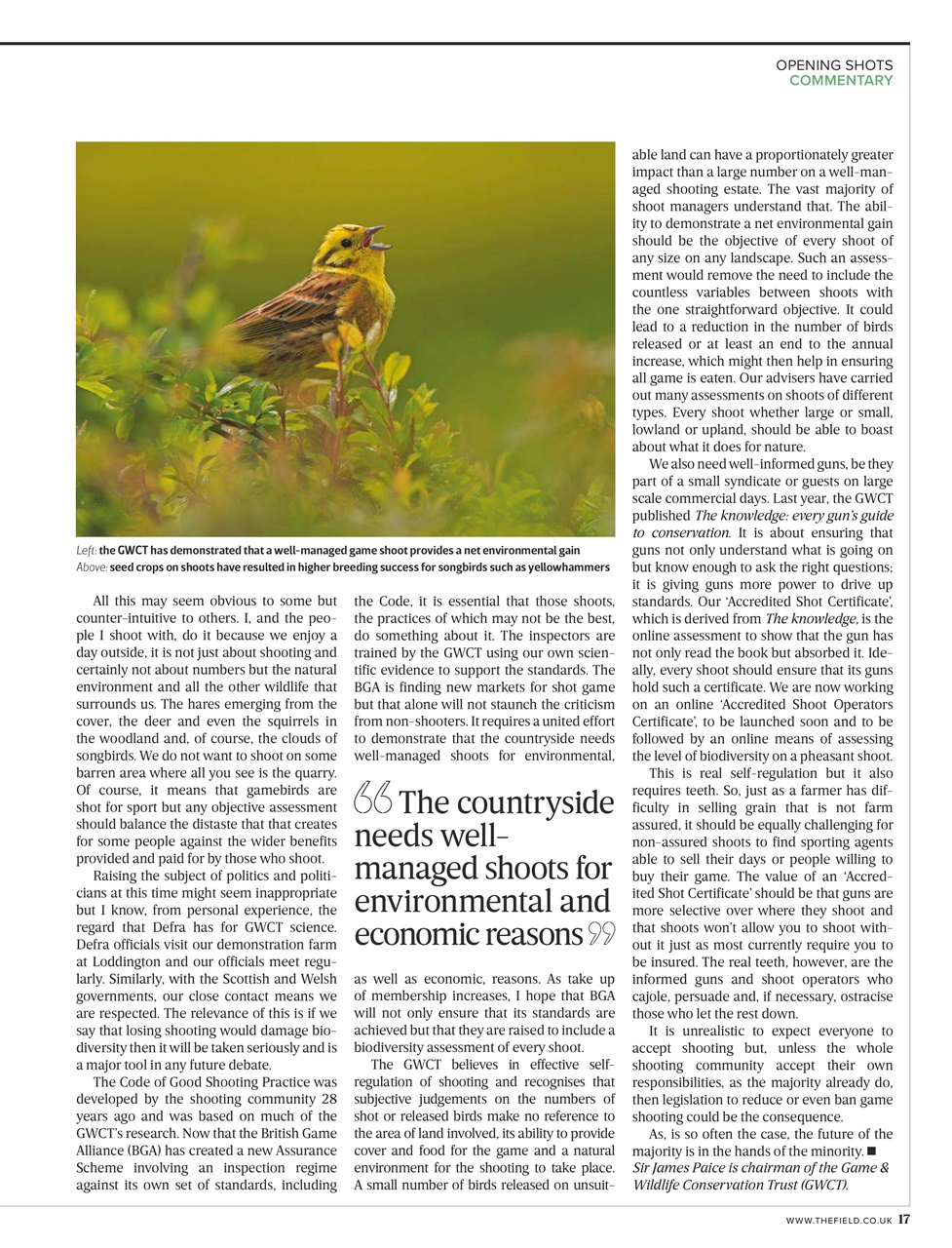 The Field Preview Pages