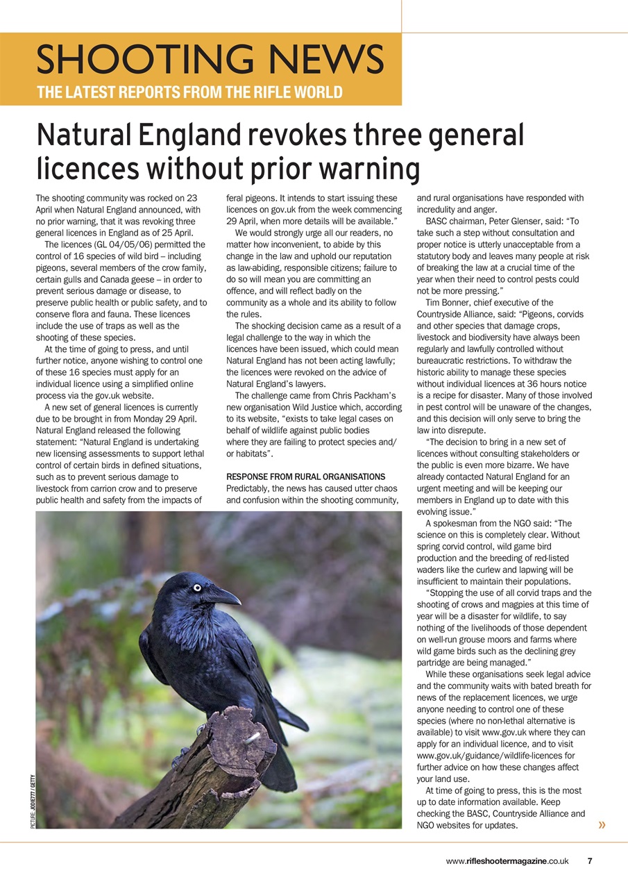 Rifle Shooter Preview Pages