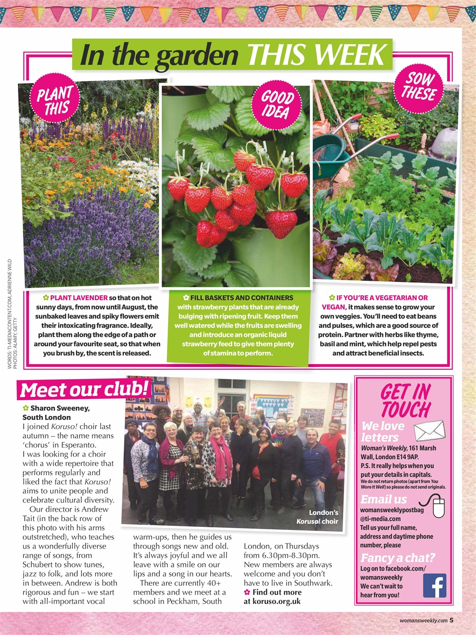 Woman's Weekly Preview Pages