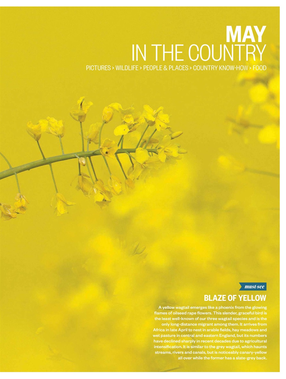 BBC Countryfile Magazine Preview Pages