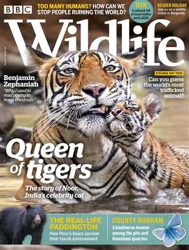 BBC Wildlife Magazine issue 