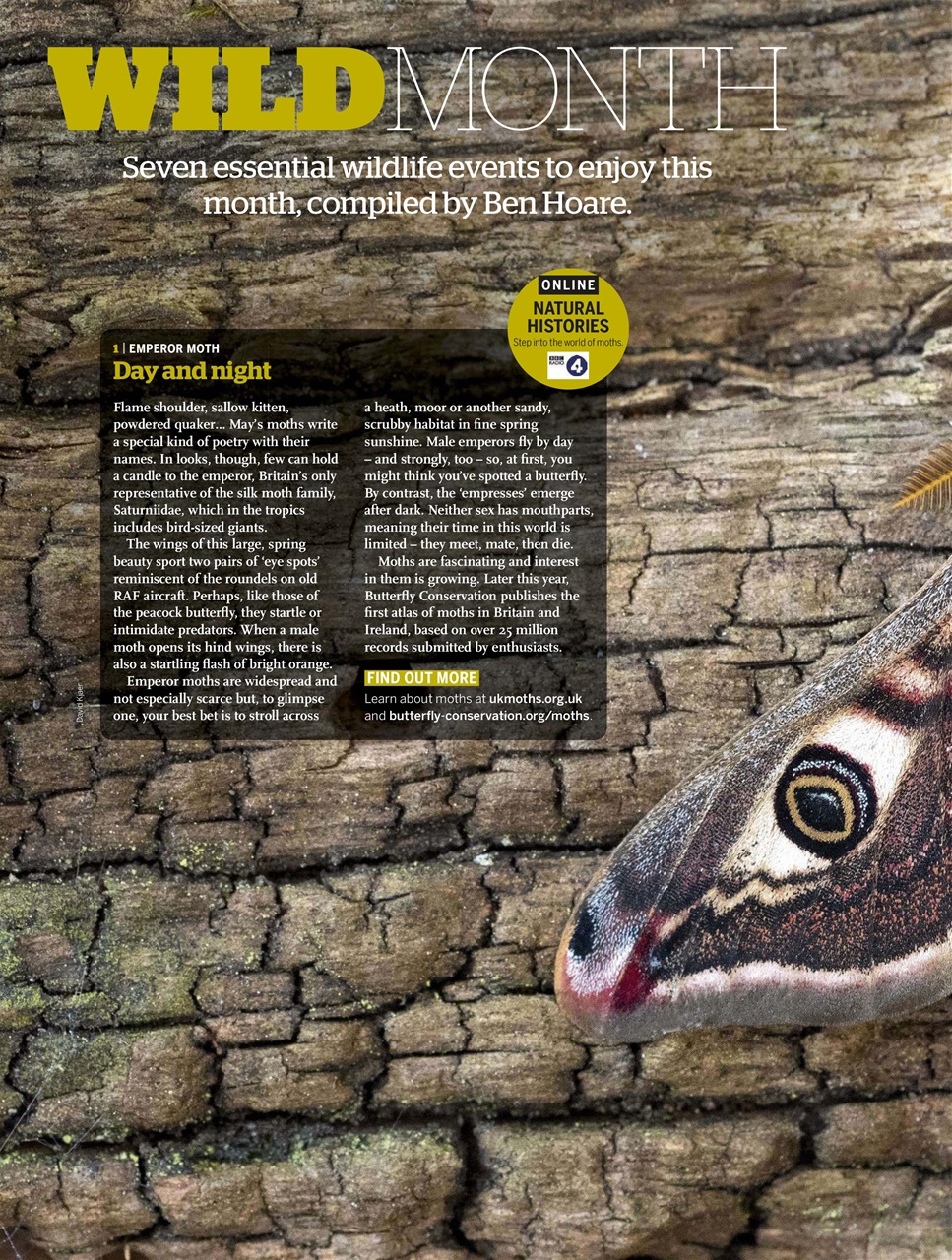 BBC Wildlife Magazine Preview Pages