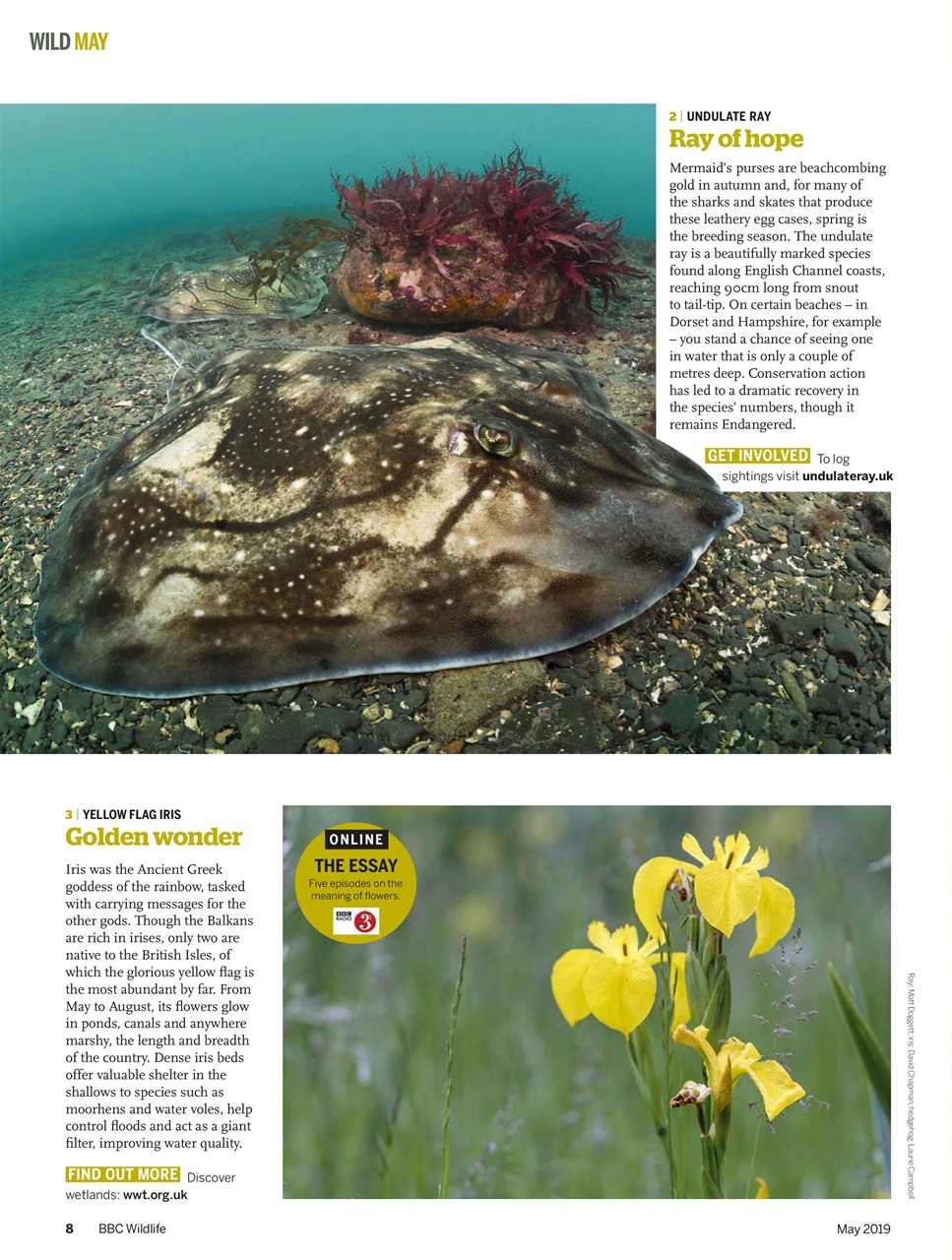 BBC Wildlife Magazine Preview Pages