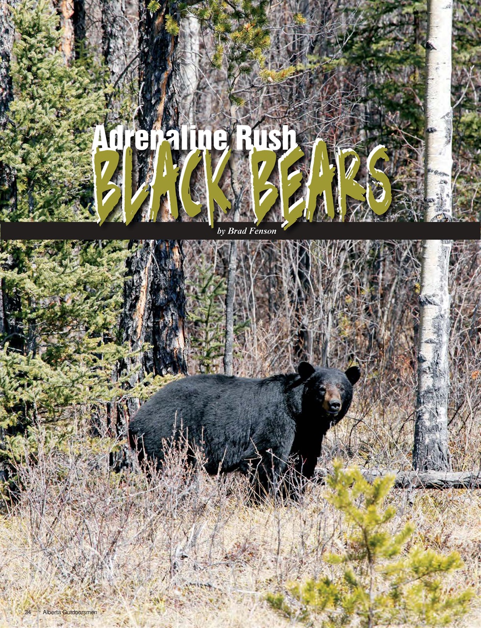 Alberta Outdoors Preview Pages